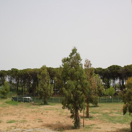 Levante Marina di Schiavonea Exterior photo